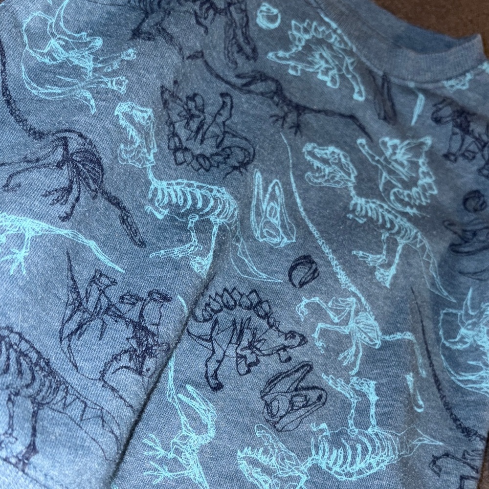 3 for $20! Boys 3t long sleeve sweat shirt Cat & Jack Blue Dinosaur Sweatshirt - Picture 3 of 3